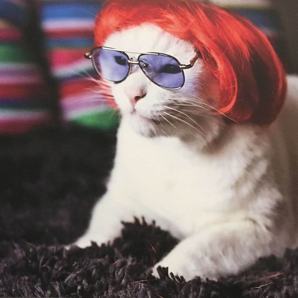 Meet your Posher, Eva